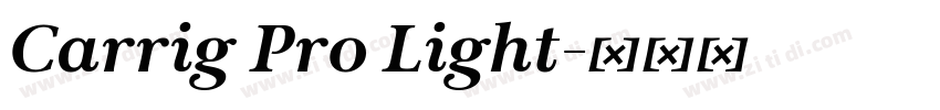 Carrig Pro Light字体转换